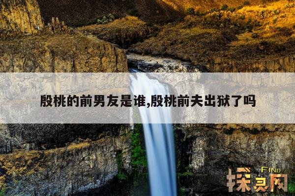 殷桃的前男友是谁,殷桃前夫出狱了吗