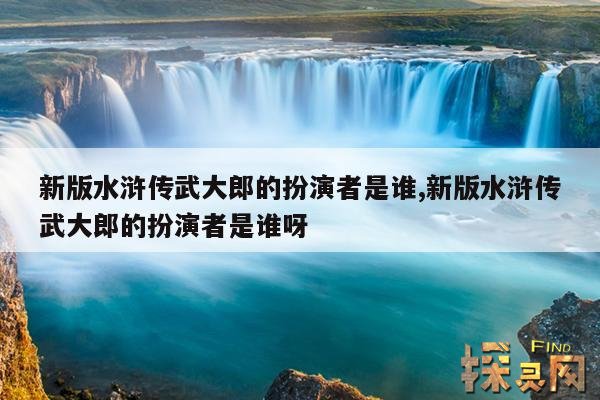 新版水浒传武大郎的扮演者是谁,新版水浒传武大郎的扮演者是谁呀