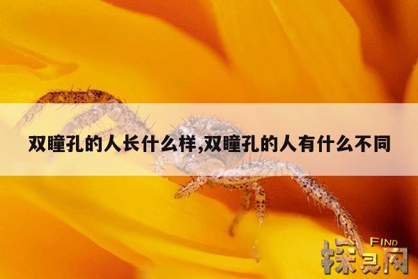 双瞳孔的人长什么样,双瞳孔的人有什么不同