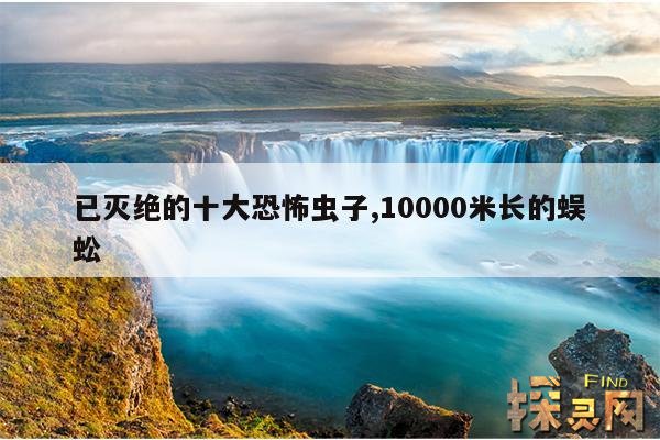 已灭绝的十大恐怖虫子,10000米长的蜈蚣