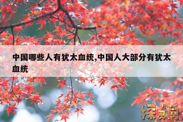 中国哪些人有犹太血统,中国人大部分有犹太血统