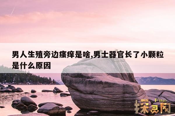 男人生殖旁边瘙痒是啥,男士器官长了小颗粒是什么原因