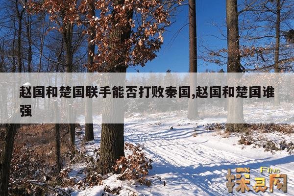 赵国和楚国联手能否打败秦国,赵国和楚国谁强