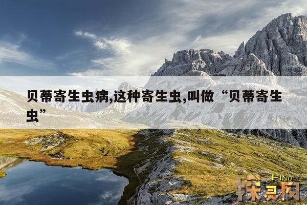 贝蒂寄生虫病,这种寄生虫,叫做“贝蒂寄生虫”