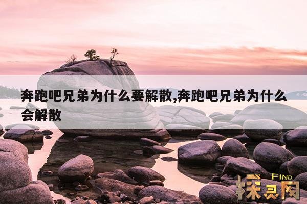 奔跑吧兄弟为什么要解散,奔跑吧兄弟为什么会解散