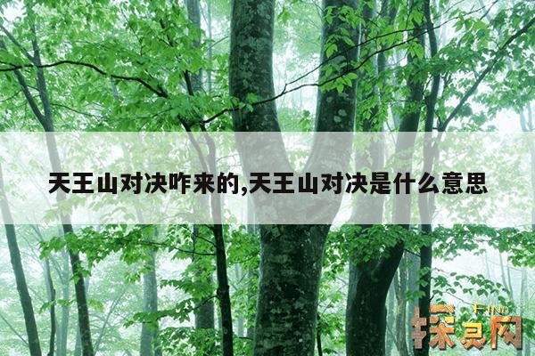 天王山对决咋来的,天王山对决是什么意思