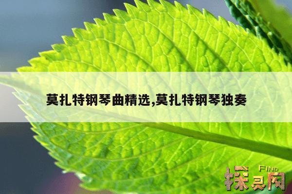 莫扎特钢琴曲精选,莫扎特钢琴独奏