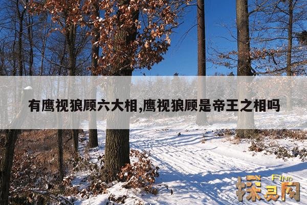 有鹰视狼顾六大相,鹰视狼顾是帝王之相吗