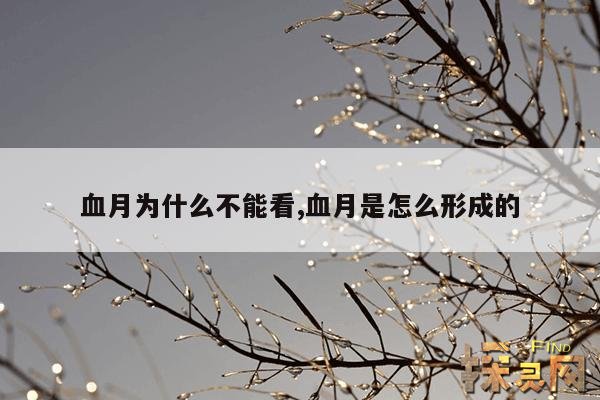 血月为什么不能看,血月是怎么形成的