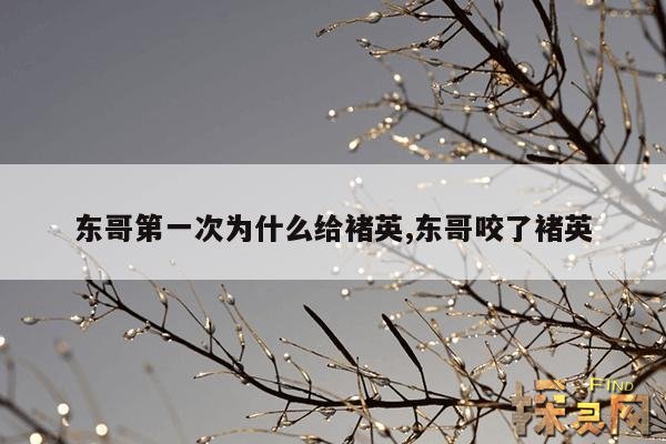 东哥第一次为什么给褚英,东哥咬了褚英