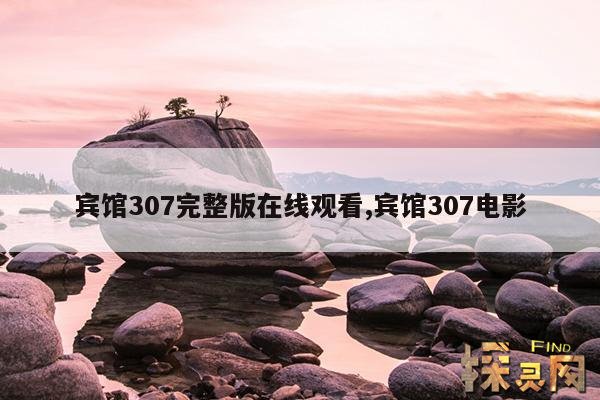 宾馆307完整版在线观看,宾馆307电影