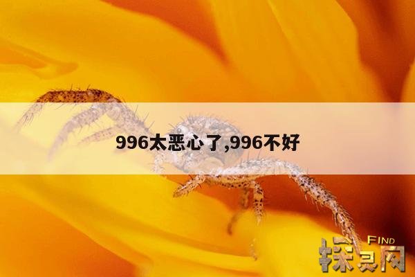996太恶心了,996不好