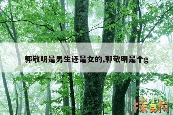 郭敬明是男生还是女的,郭敬明是个g