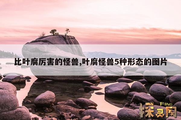 比叶腐厉害的怪兽,叶腐怪兽5种形态的图片