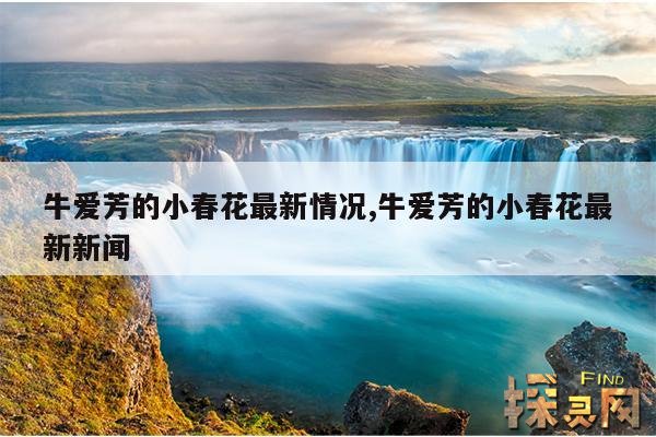 牛爱芳的小春花最新情况,牛爱芳的小春花最新新闻
