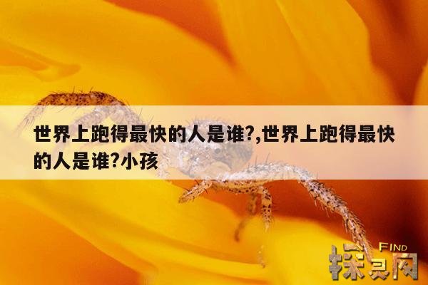世界上跑得最快的人是谁?,世界上跑得最快的人是谁?小孩
