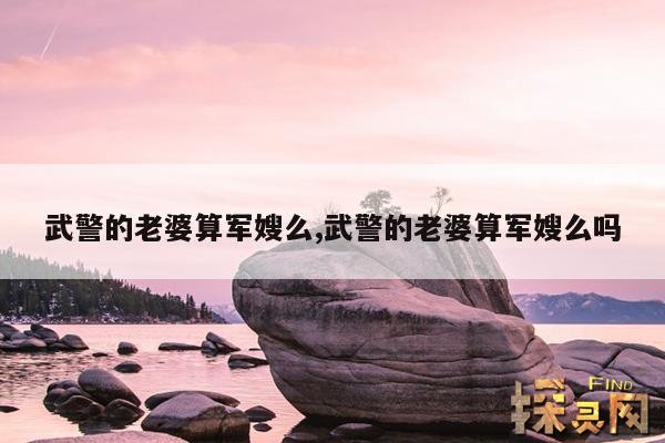 武警的老婆算军嫂么,武警的老婆算军嫂么吗