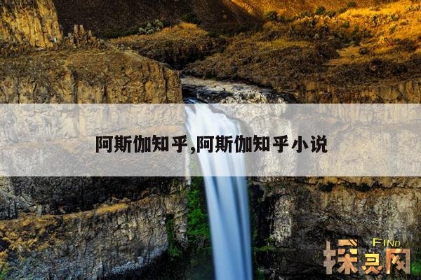 阿斯伽知乎,阿斯伽知乎小说