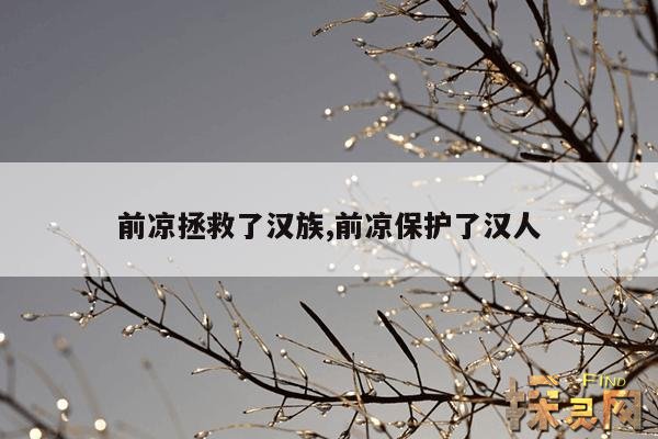 前凉拯救了汉族,前凉保护了汉人