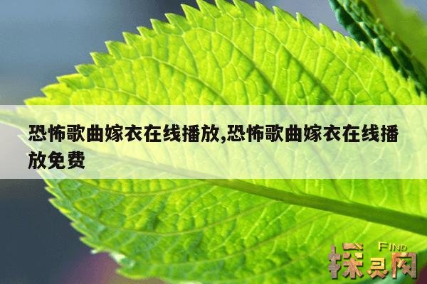 恐怖歌曲嫁衣在线播放,恐怖歌曲嫁衣在线播放免费