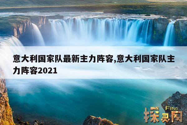意大利国家队最新主力阵容,意大利国家队主力阵容2021