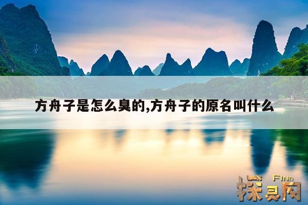 方舟子是怎么臭的,方舟子的原名叫什么