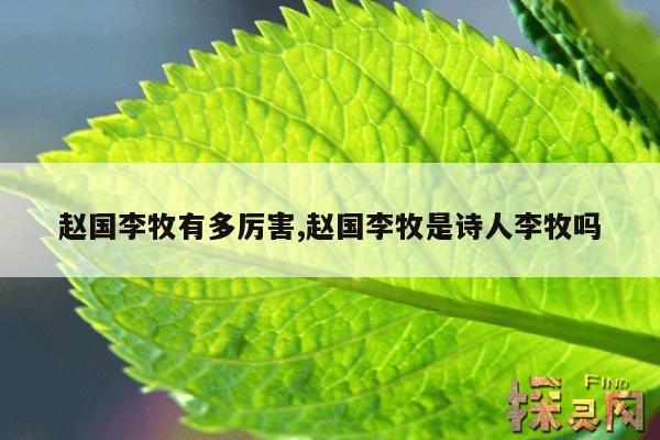 赵国李牧有多厉害,赵国李牧是诗人李牧吗