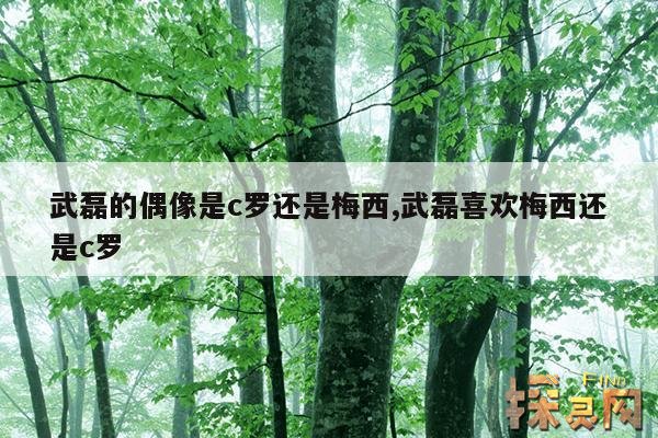 武磊的偶像是c罗还是梅西,武磊喜欢梅西还是c罗