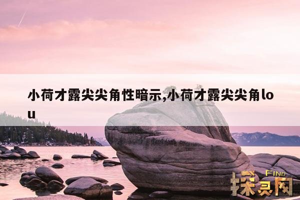 小荷才露尖尖角性暗示,小荷才露尖尖角lou