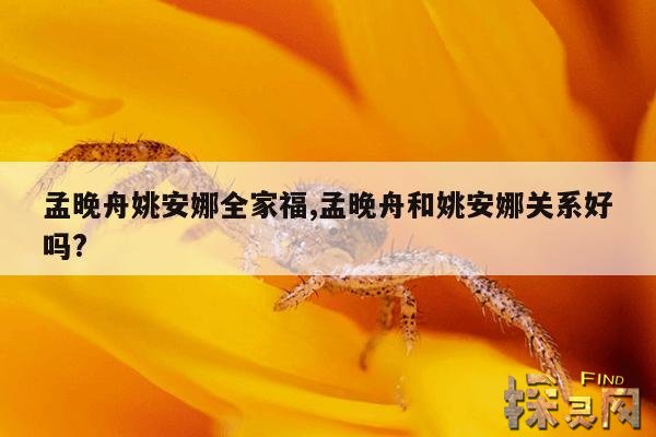 孟晚舟姚安娜全家福,孟晚舟和姚安娜关系好吗?