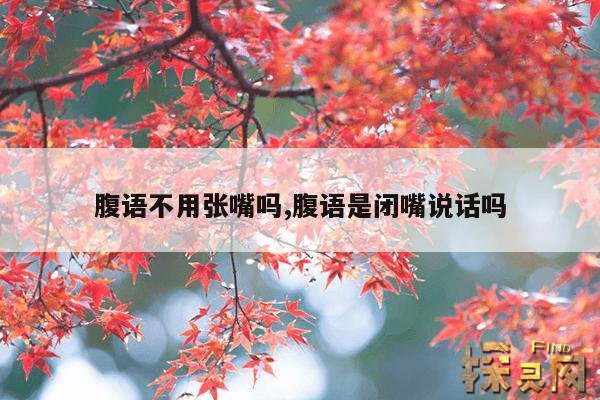 腹语不用张嘴吗,腹语是闭嘴说话吗
