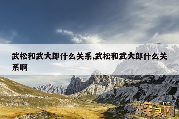 武松和武大郎什么关系,武松和武大郎什么关系啊